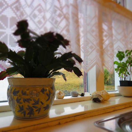 Guesthouse Kalfafellsstadur Kalfafellsstathur Buitenkant foto