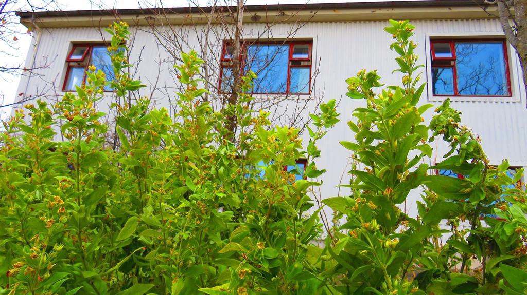 Guesthouse Kalfafellsstadur Kalfafellsstathur Buitenkant foto