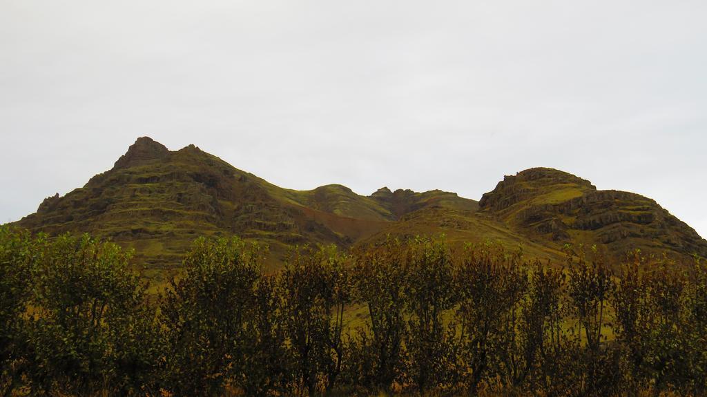Guesthouse Kalfafellsstadur Kalfafellsstathur Buitenkant foto